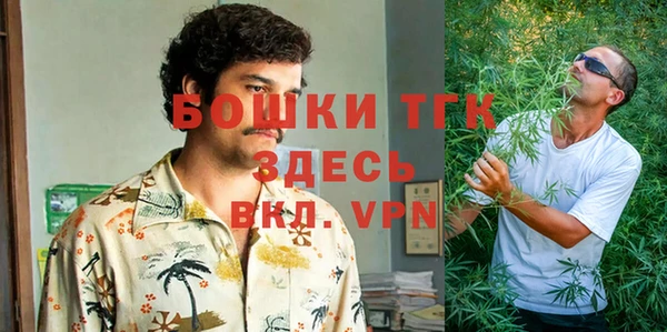 первитин Богданович
